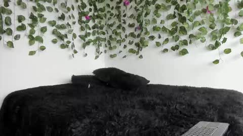 laurensmith9 online show from 03/27/26, 02:17