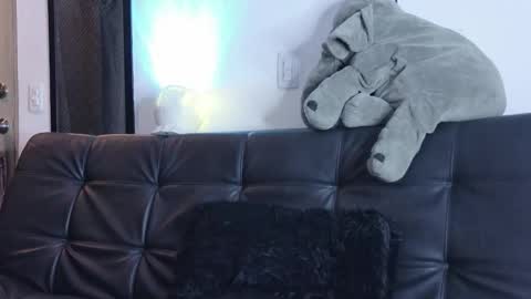    online show from 03/14/26, 01:23