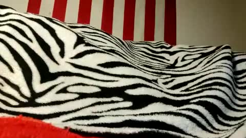 Snapshot of lawerenceingram46 chatting on 09/17/25, 04:25 lawerenceingram46 online show from 09/17/25, 04:25