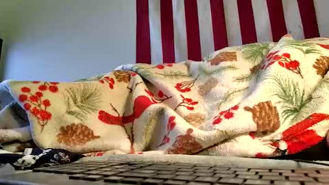 Snapshot of lawerenceingram46 chatting on 10/19/25, 04:35 lawerenceingram46 online show from 10/19/25, 04:35