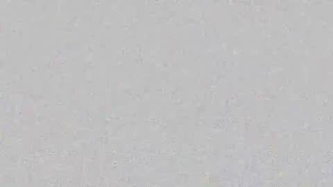 Snapshot of layana_poison chatting on 02/19/26, 06:48 Layana online show from 02/19/26, 06:48