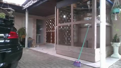 kelly online show from 12/22/25, 08:28