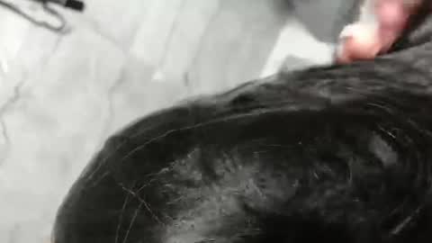 Snapshot of ledi_marin chatting on 03/23/26, 01:42 Marina Magician online show from 03/23/26, 01:42