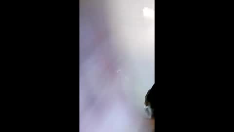 leeassfat online show from 05/11/26, 11:05