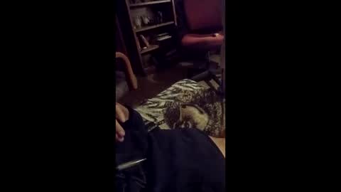 leftyusatisfied online show from 04/06/26, 11:00