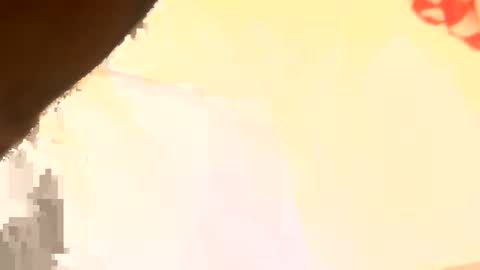 legal4 online show from 03/11/26, 06:25