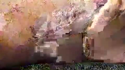 Snapshot of legofactory chatting on 01/27/25, 04:52 legofactory online show from 01/27/25, 04:52