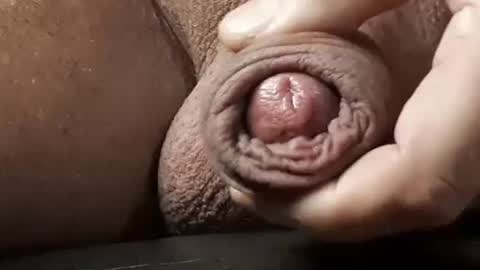 Snapshot of legofactory chatting on 02/13/25, 04:54 legofactory online show from 02/13/25, 04:54