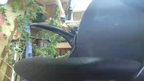 HoleStretcher online show from 09/09/25, 07:46