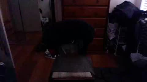 Snapshot of lennyfife chatting on 02/23/25, 09:55 Pussylicker online show from 02/23/25, 09:55