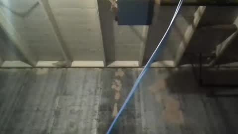 leo199984 online show from 11/05/25, 03:39