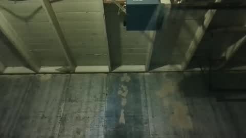 leo199984 online show from 03/25/26, 02:39