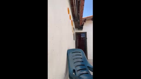 leo_latino1 online show from 03/09/26, 06:56