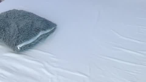 LUCY online show from 11/28/25, 08:55