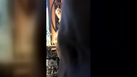 Leon online show from 02/27/26, 08:42