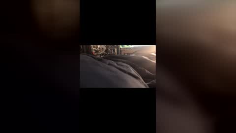 Leon online show from 03/01/26, 07:05