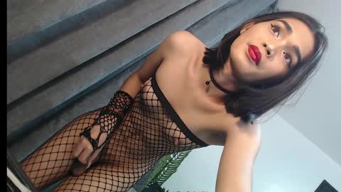 Trisha18 online show from 02/04/25, 06:17