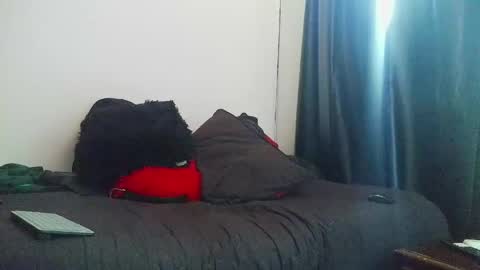 Snapshot of letorres23 chatting on 04/27/26, 12:36 Torres online show from 04/27/26, 12:36