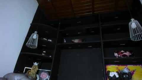 LevySteven online show from 02/16/25, 01:27