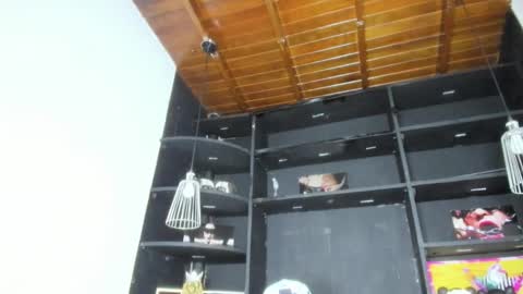 LevySteven online show from 02/19/25, 10:23