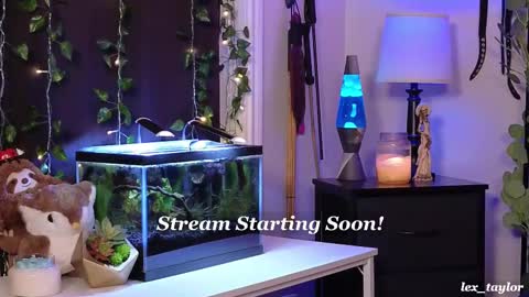 Lex online show from 02/17/25, 04:04