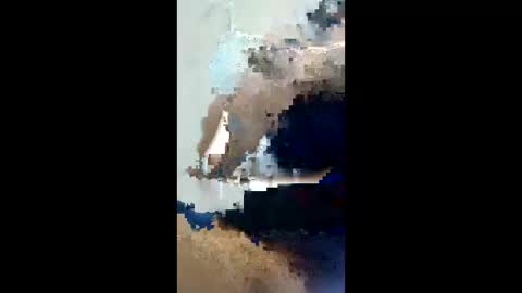 lexboy788181 online show from 04/23/26, 05:52