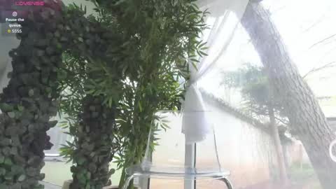 lexi_storm online show from 04/11/26, 07:56