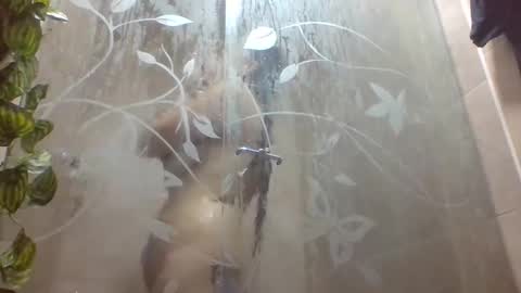 Snapshot of leyla_horny_bg chatting on 12/22/25, 09:56 leyla_horny_bg online show from 12/22/25, 09:56