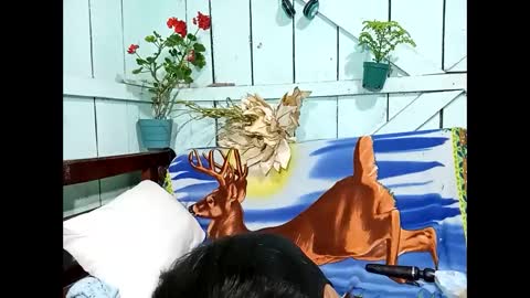 Lia online show from 09/13/25, 09:25