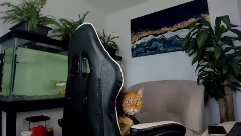lia_lovelly online show from 07/14/26, 03:40