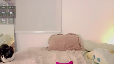 Lia online show from 03/04/26, 11:33