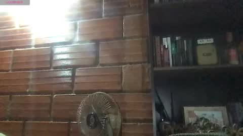 Amy online show from 03/07/26, 01:46