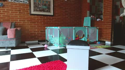 Liarouse04 online show from 04/11/26, 01:48