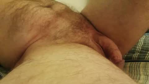 licam online show from 10/17/25, 02:37