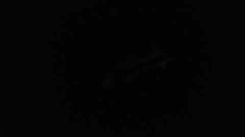 lickerxx46 online show from 02/23/26, 06:49