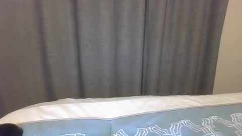 Cookie Monster online show from 02/12/26, 04:40