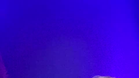 Snapshot of lickyouryoni chatting on 12/02/24, 02:19 LickYourYoni online show from 12/02/24, 02:19