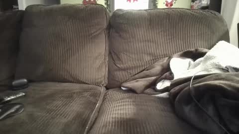 lifer77 online show from 12/26/24, 05:26