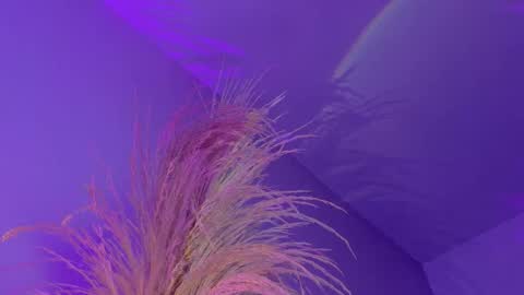 Liiam Luna online show from 01/07/26, 12:40