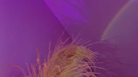 Liiam Luna online show from 01/17/26, 09:14