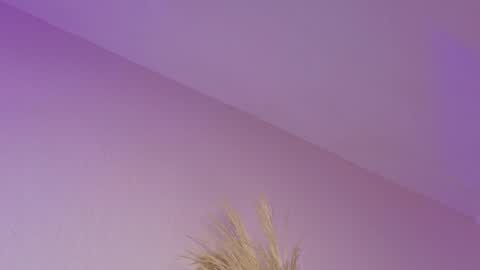 Liiam Luna online show from 04/21/26, 11:05