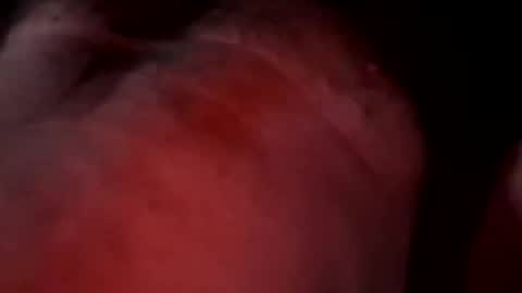 Snapshot of liketoplay4444 chatting on 03/20/26, 11:48 Liketoplay online show from 03/20/26, 11:48