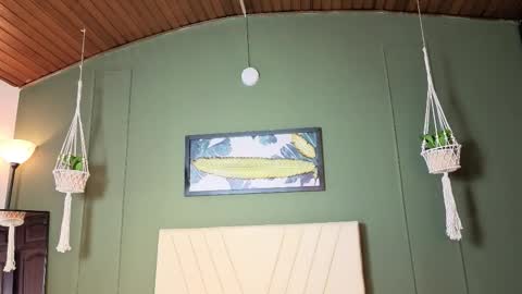 Lila online show from 12/20/25, 08:43