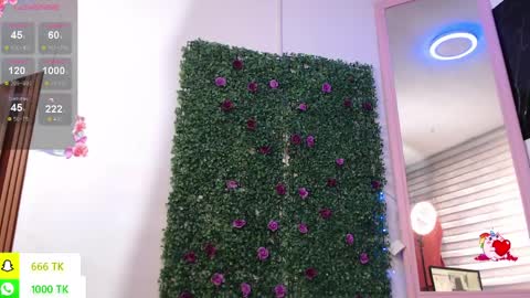   online show from 04/06/26, 02:40