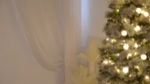 Rebecca online show from 12/17/25, 06:03