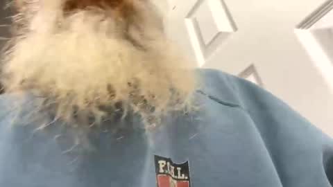 lilchaps69 online show from 02/04/26, 05:46