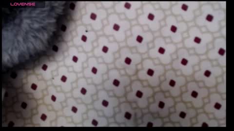 lildragon069 online show from 12/07/24, 09:28