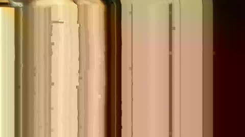 Sasquatch online show from 02/24/26, 06:39