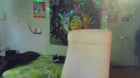 Lil online show from 03/19/26, 02:59