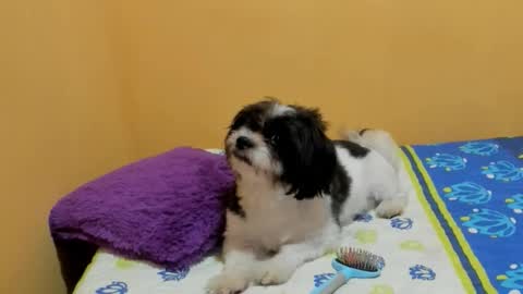 Lili online show from 03/07/26, 07:33